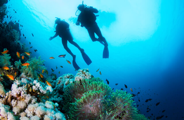 Finding Nemo -The World’s Top Diving Spots