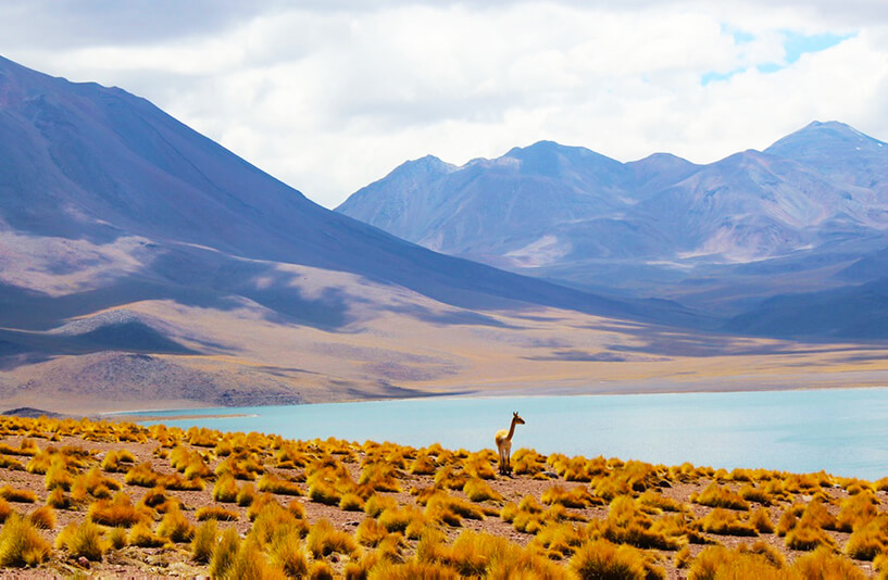 05Los-Flamencos-National-Reserve_Chile