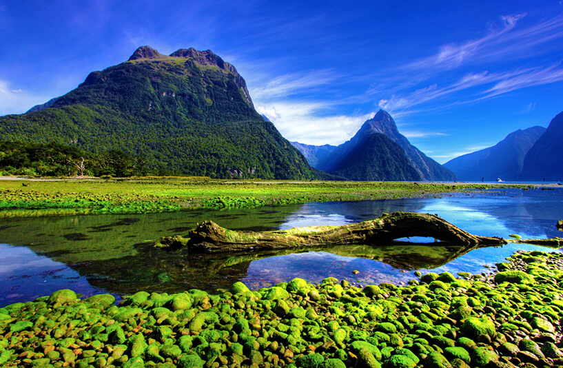 New-Zealand-Park