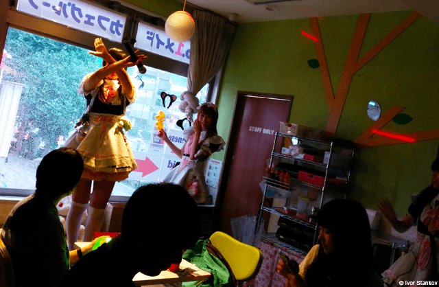 maidcafe